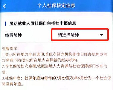 灵活就业人员社保缴费怎么交