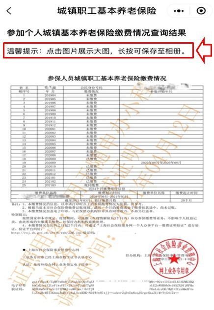 社保缴纳记录在哪里查询明细