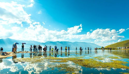 家庭旅行：5个适合全家出游的目的地推荐