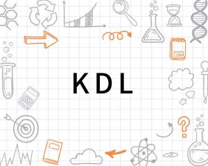 kdl网络语什么意思