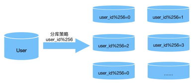 如何实现数据库的读写分离以提升性能